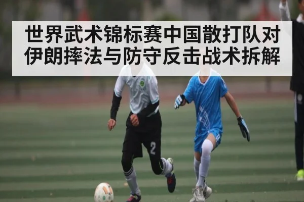 世界武术锦标赛中国散打队对伊朗摔法与防守反击战术拆解